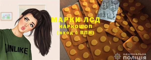 шишки Карпинск