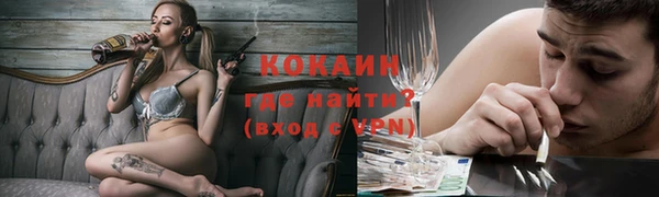 шишки Карпинск