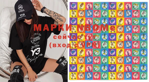 шишки Карпинск