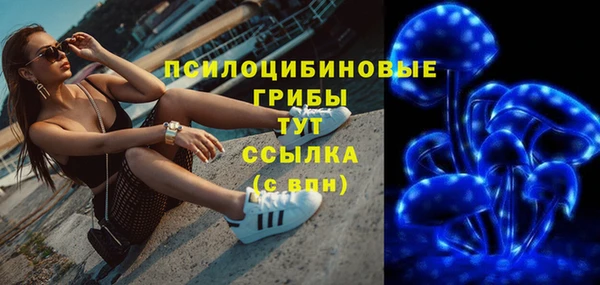 кокаин Каменка