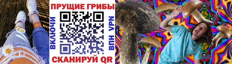 Галлюциногенные грибы Psilocybe  цена наркотик  Севастополь 